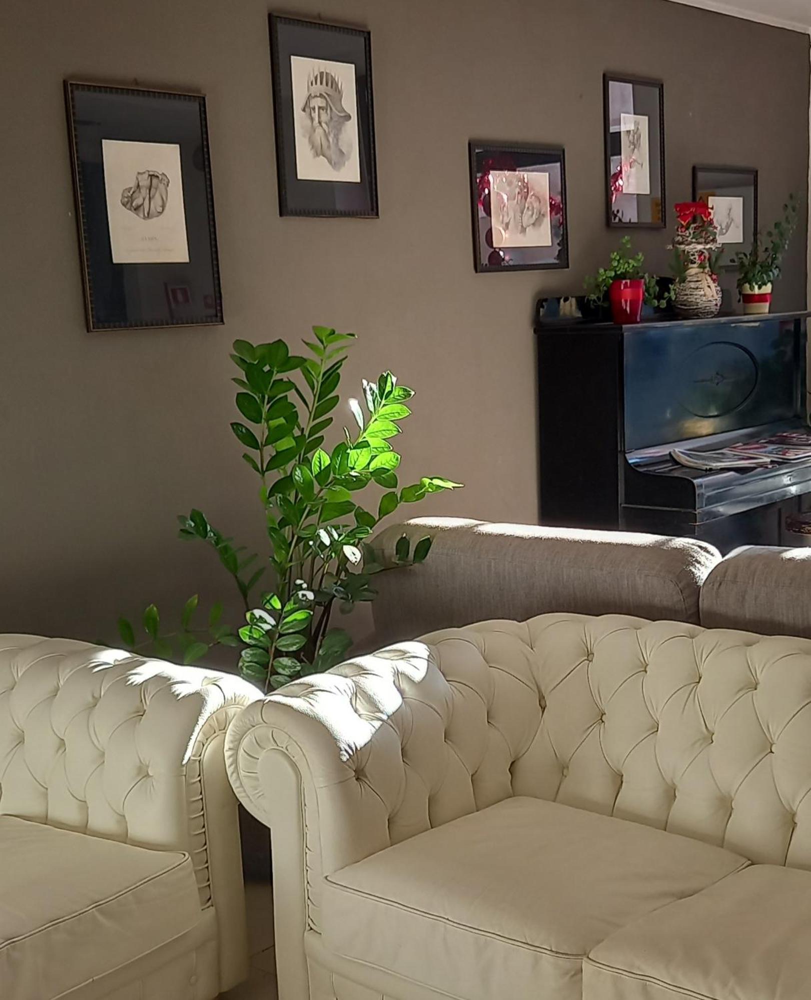 Hotel Aniene Roma Ngoại thất bức ảnh